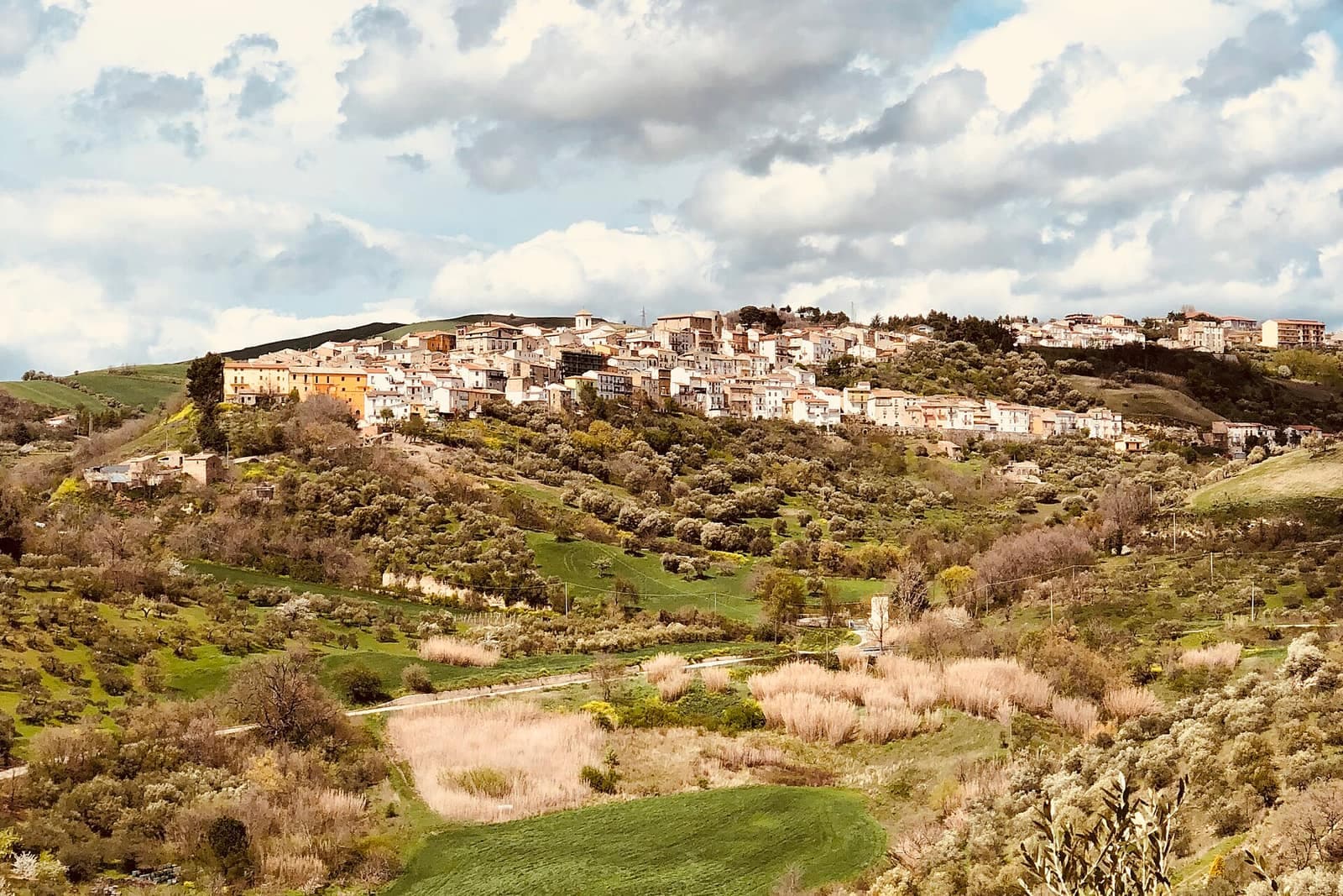 Panorama di Macchia Valfortore sulla collina, tra uliveti e campi