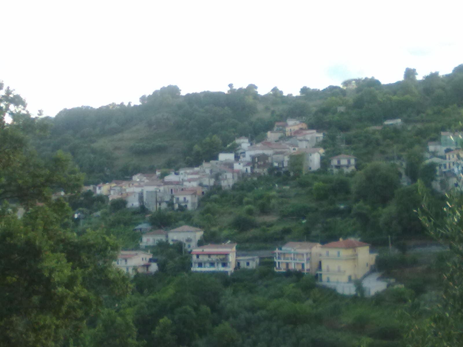Case di Santa Marina tra gli alberi