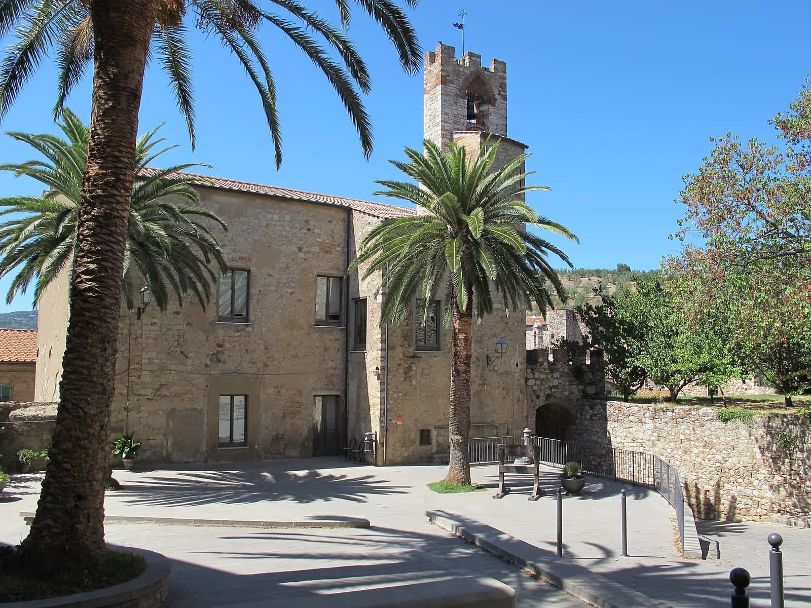 Il palazzo comunale di Suvereto con la torre e le palme della piazza